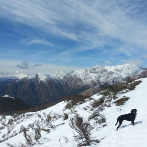 Monte Spalavera im Winter